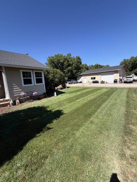 Large acreage lawn mowed in wide even stripes between a house and a metal shop building on a rural Southern Oregon property.