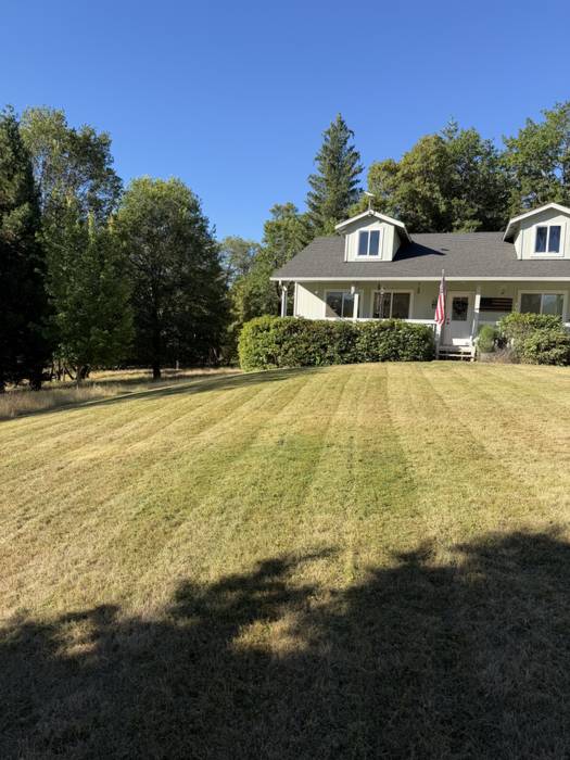 Large front lawn freshly cut with even mowing stripes in front of a white farmhouse with a trimmed laurel hedge in Southern Oregon.