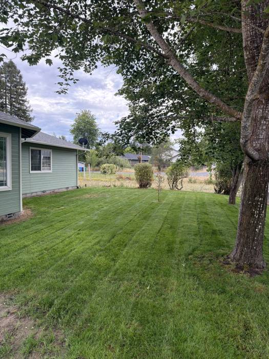 Side yard lawn freshly mowed with visible mowing lines beside a green house, shaded by a mature maple tree in Grants Pass, Oregon.